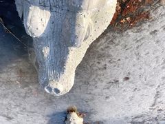 -泰丰公园
