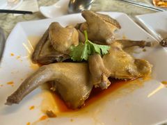 -百利鸽王(紫薇路店)