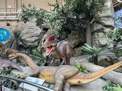 -国家自然博物馆