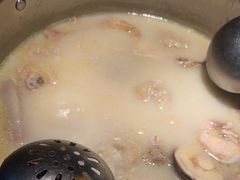 胡椒猪肚鸡-顺德公广东猪肚鸡·煲仔饭(白石洲店)