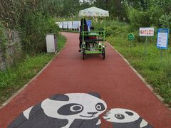 -桤木河湿地公园