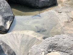 -硇洲岛旅游区