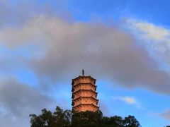 -深圳国际园林花卉博览园