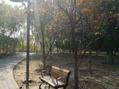 -大兴滨河森林公园