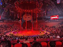 -俄罗斯国家大马戏团