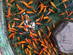 -上海大自然野生昆虫馆(东方明珠·爬宠昆虫探索中心)