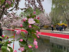 -元大都城垣遗址公园