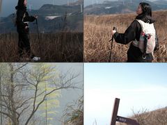 -东白山