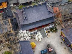 -灵谷景区