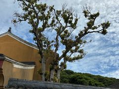 -珞珈山-售票处