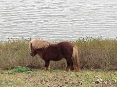 -佛冈森波拉度假区