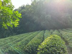 -敬亭山风景名胜区