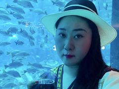 -亚特兰蒂斯•OSSIANO奥西亚诺海底餐厅