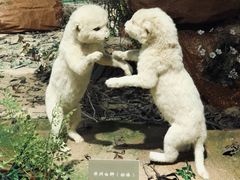 -陕西自然博物馆