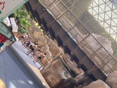 -杭州开元森泊度假乐园