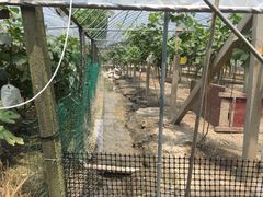 -美家乐农庄·露营·团建(大治路店)