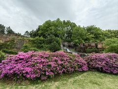 -宜兴龙背山森林公园