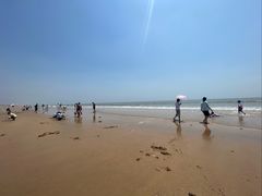-日照海滨国家森林公园