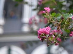 -湖南省立第一师范学校旧址