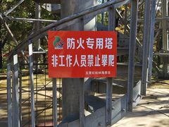 -五营红松林海景区