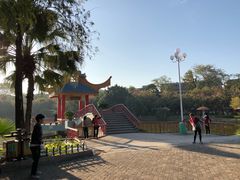 -金砂公园