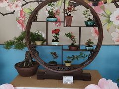 -陶然亭公园