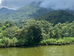 -福清灵石山国家森林公园