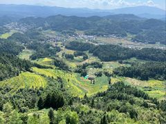 -紫鹊界梯田景区