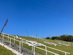 -佛手湖郊野公园