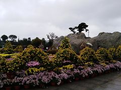 -南通洲际绿博园