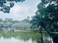 -晓港公园