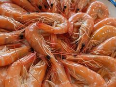 -鲤鱼塘农家山庄