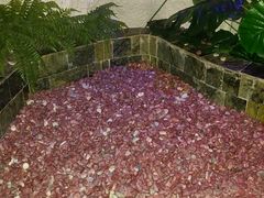 -水晶之星洗浴温泉汗蒸