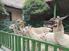 -杭州野生动物世界