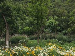 -贵阳市花溪国家城市湿地公园