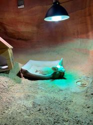 -酷嗒动物文化乐园(cutezoo西溪乐天城店)