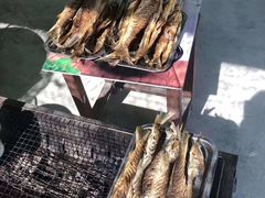 -千岛湖九龙溪漂流
