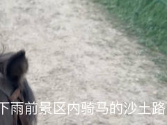 -山丹皇家马场