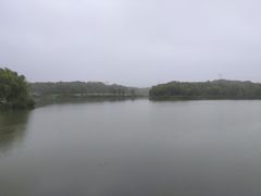 -昆山城市生态森林公园