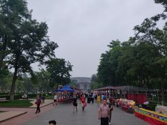 -廊坊文化艺术中心