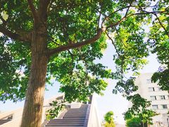 -上海第二工业大学(金海路校区)