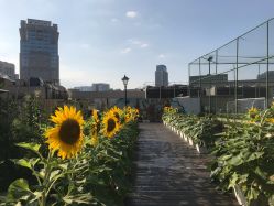 -梦田都市农场(银泰城店)