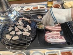-海抱猪