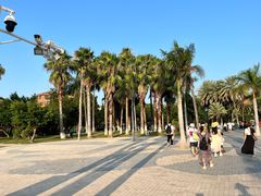 -厦门泰谷酒店(中山路镇海路地铁站店)