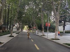 -安徽大学(龙河校区)