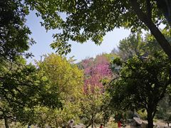 -飞凤山奥体公园