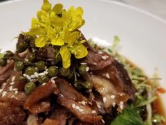 -子福慧(虹桥店)