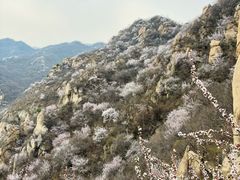 -北京凤凰岭