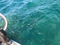 -亚龙湾海底世界