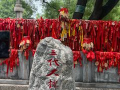 -大槐树寻根祭祖园